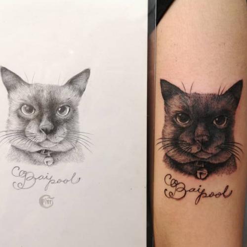 สมาชิกหมายเลข 3244040