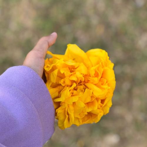 สมาชิกหมายเลข 5091954