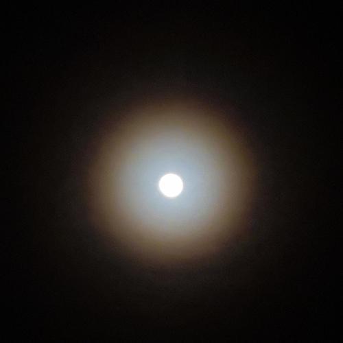 สมาชิกหมายเลข 5677087