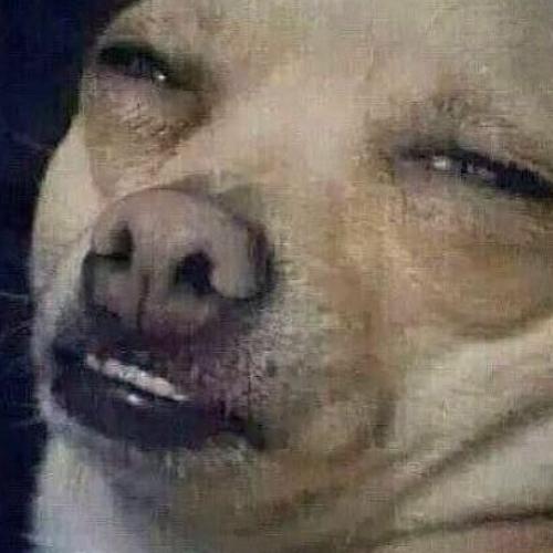 สมาชิกหมายเลข 6257263