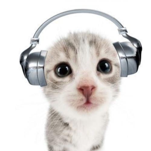 สมาชิกหมายเลข 7320964