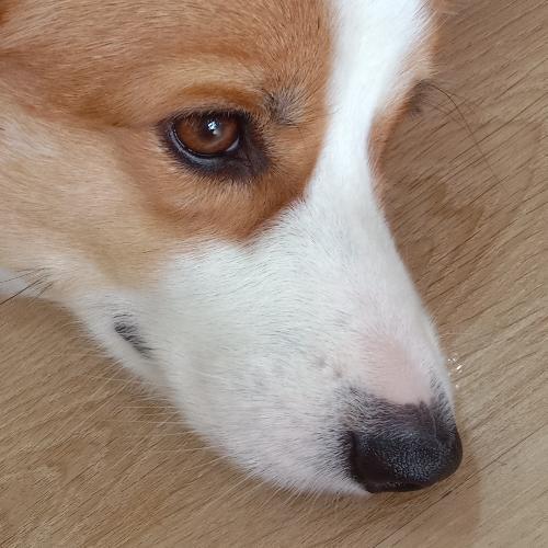 สมาชิกหมายเลข 8621631