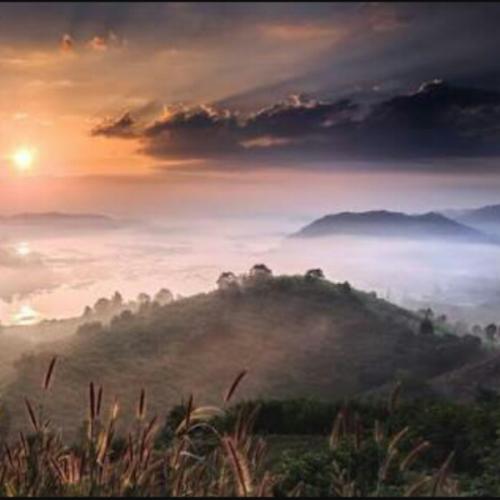 สมาชิกหมายเลข 4857598