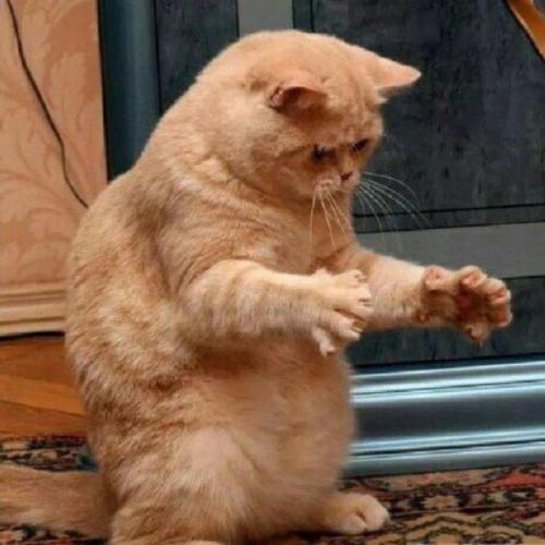 สมาชิกหมายเลข 1877578