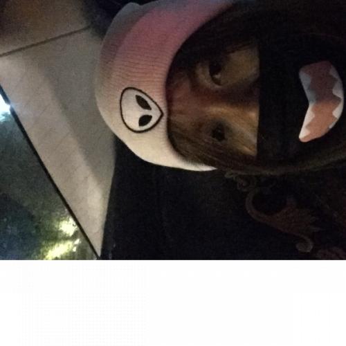 สมาชิกหมายเลข 5677429