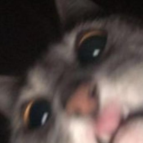 สมาชิกหมายเลข 5896163