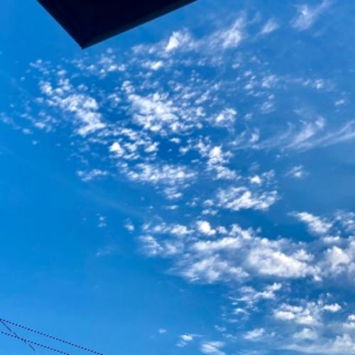 สมาชิกหมายเลข 5633555