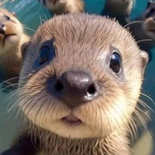 สมาชิกหมายเลข 1266060