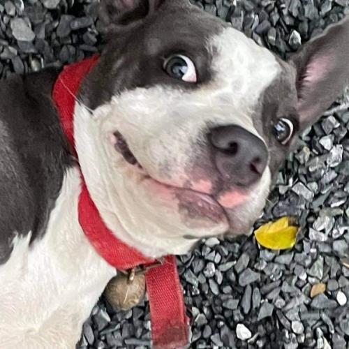 สมาชิกหมายเลข 3955568