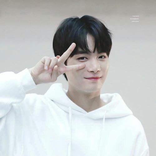 สมาชิกหมายเลข 5123150