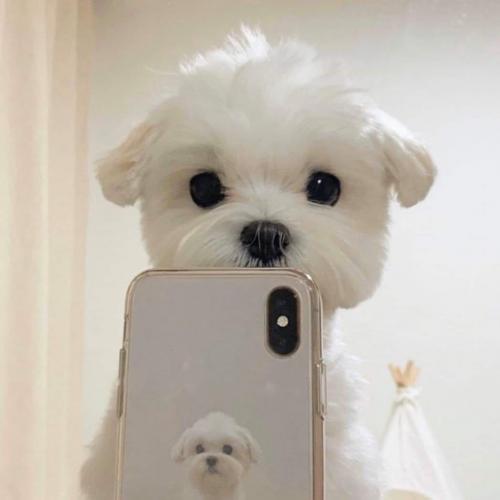 สมาชิกหมายเลข 3518076