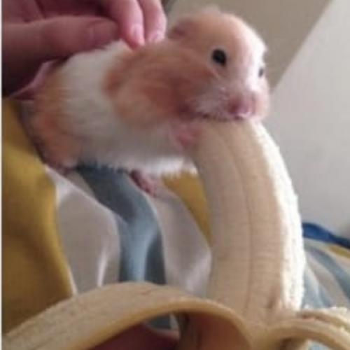 สมาชิกหมายเลข 3941312