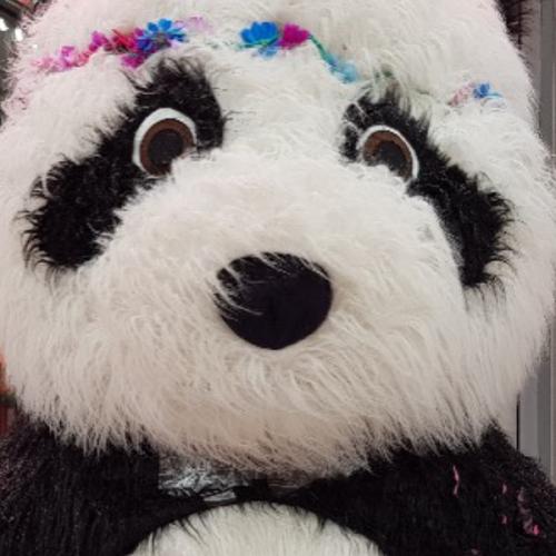 สมาชิกหมายเลข 4356724