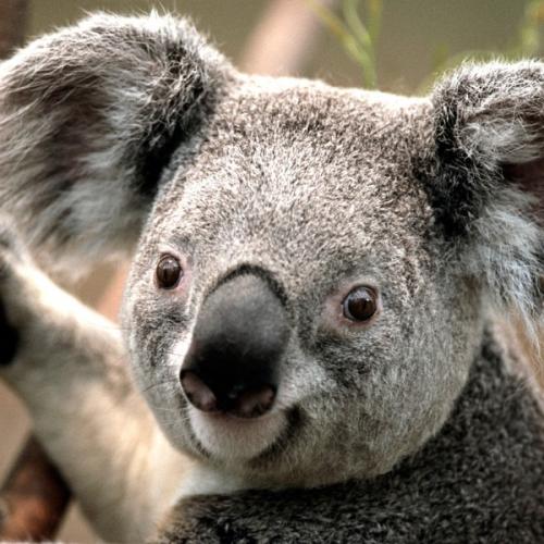 สมาชิกหมายเลข 5678095