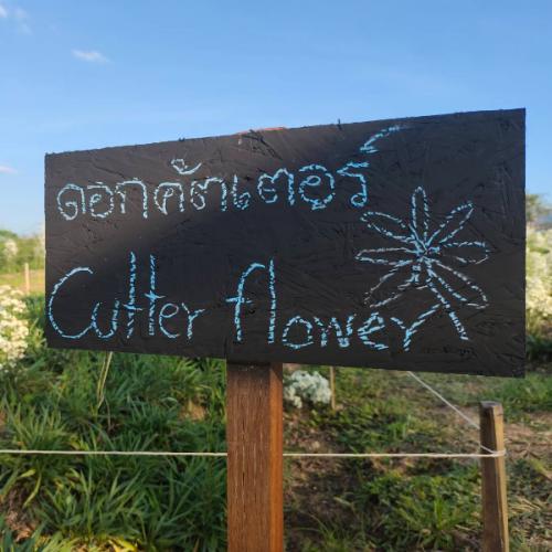 นามหนาวและดาวมฤตยู