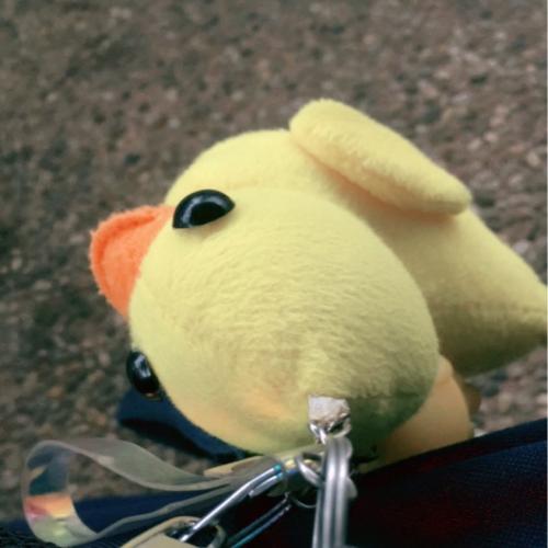 สมาชิกหมายเลข 6258547