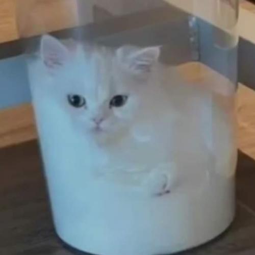 สมาชิกหมายเลข 6457010