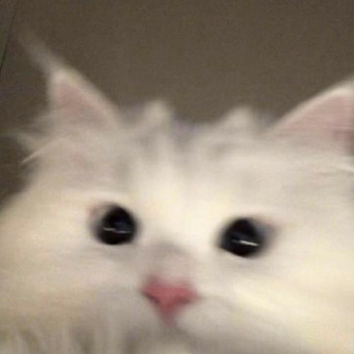 สมาชิกหมายเลข 6915156