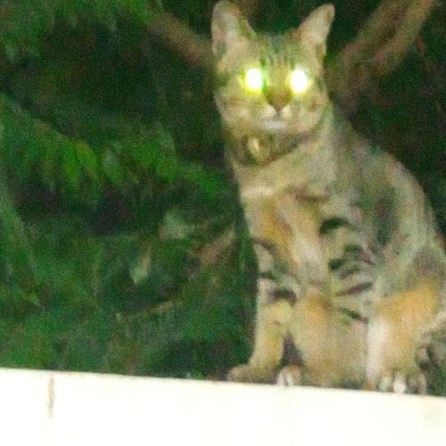 สมาชิกหมายเลข 6915925