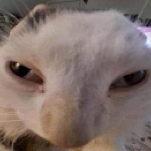 สมาชิกหมายเลข 6358749