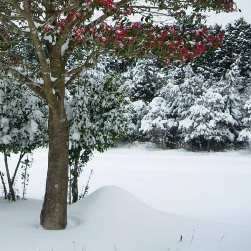 เช้าสายบ่ายค่ำ