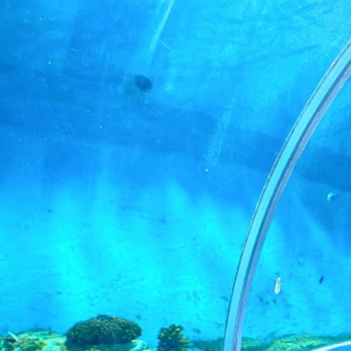 สมาชิกหมายเลข 6883464