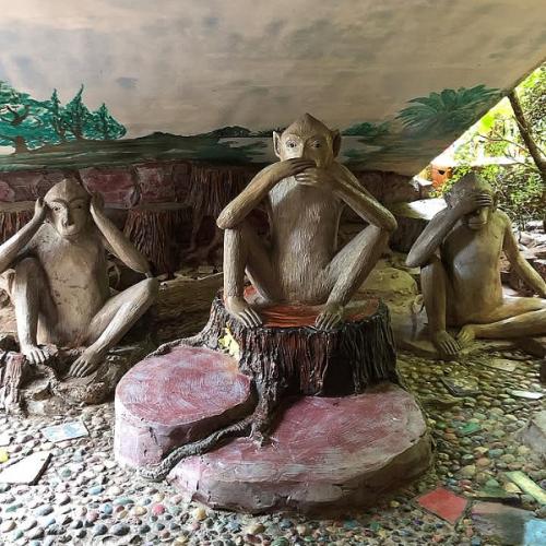 สมาชิกหมายเลข 7947176