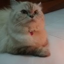 สมาชิกหมายเลข 4078419