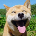 สมาชิกหมายเลข 4494287