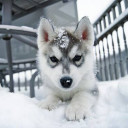 สมาชิกหมายเลข 4520656