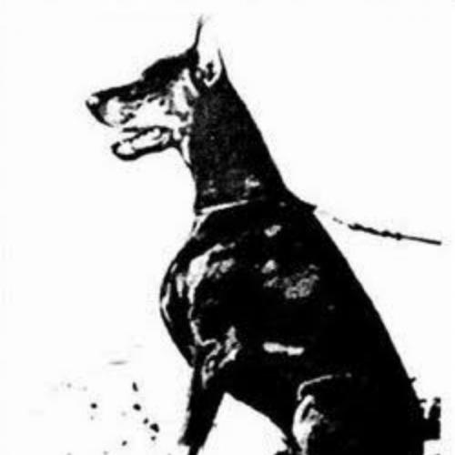 สมาชิกหมายเลข 4625913