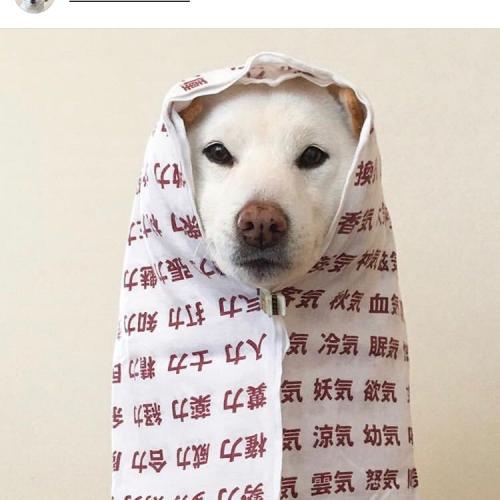 สมาชิกหมายเลข 4925438