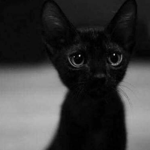 สมาชิกหมายเลข 5172490