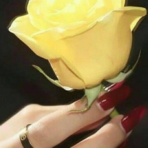 สมาชิกหมายเลข 5435479