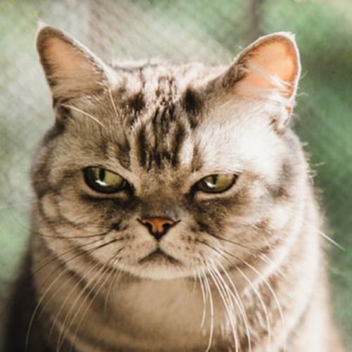 สมาชิกหมายเลข 1518027