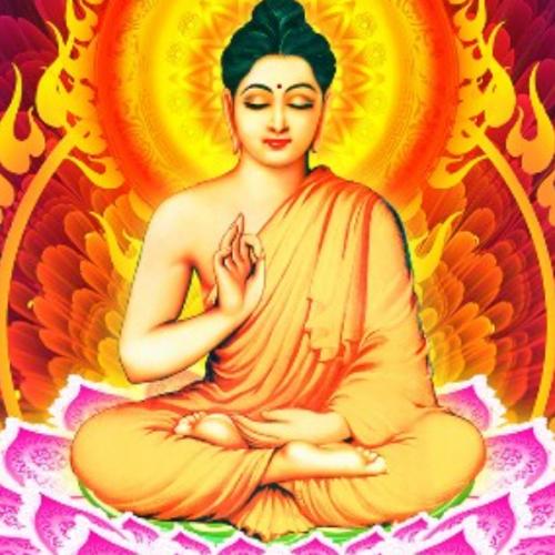 สมาชิกหมายเลข 7679646