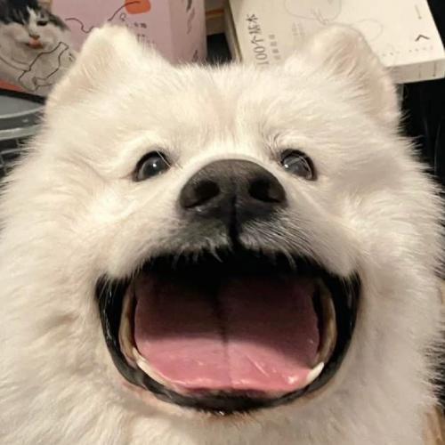 สมาชิกหมายเลข 8630823