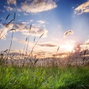 สมาชิกหมายเลข 4075777