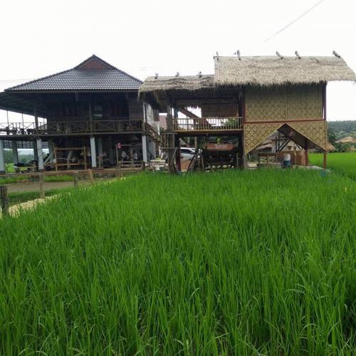 สมาชิกหมายเลข 4076409