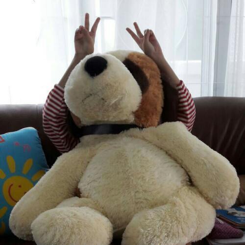 สมาชิกหมายเลข 4521180