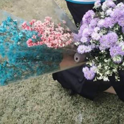 สมาชิกหมายเลข 4858507