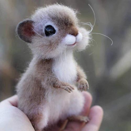 สมาชิกหมายเลข 1751248