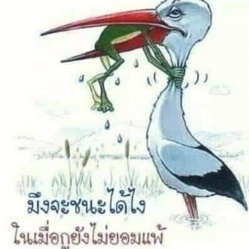 สมาชิกหมายเลข 4126290