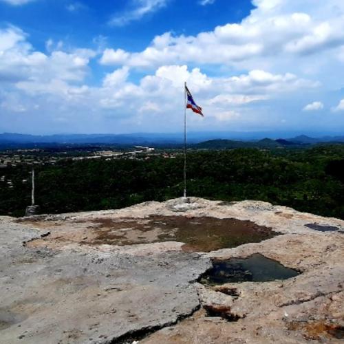 สมาชิกหมายเลข 6259711