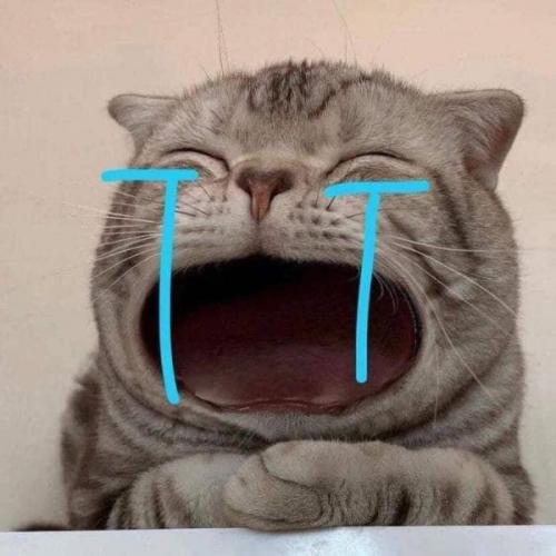 สมาชิกหมายเลข 3988645