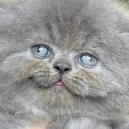 สมาชิกหมายเลข 5634964