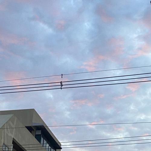 สมาชิกหมายเลข 7679626