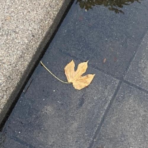 สมาชิกหมายเลข 7680560