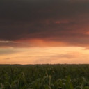 สมาชิกหมายเลข 4521385