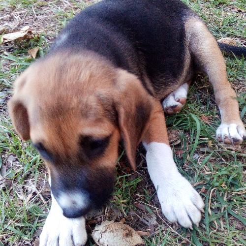 สมาชิกหมายเลข 4521427